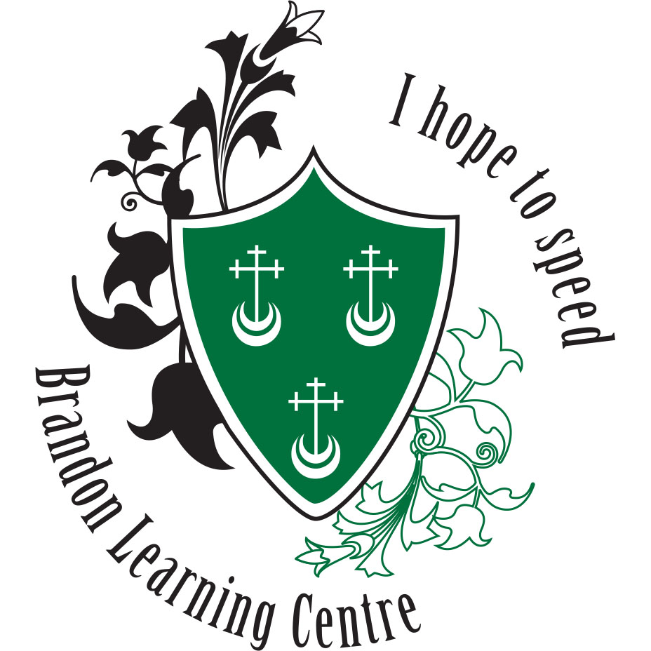 THE BRANDON CENTRE LIMITED